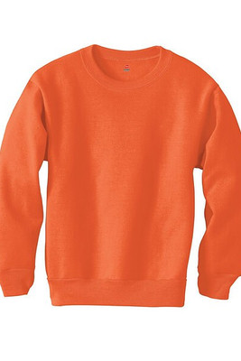 Hanes P360 - EcoSmart® Youth Sweatshirt