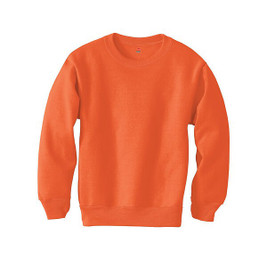 Hanes P360 - EcoSmart® Youth Sweatshirt