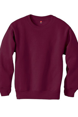 Hanes P360 - EcoSmart® Youth Sweatshirt