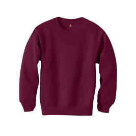 Hanes P360 - EcoSmart® Youth Sweatshirt