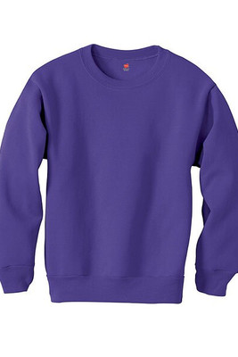 Hanes P360 - EcoSmart® Youth Sweatshirt