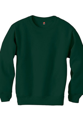 Hanes P360 - EcoSmart® Youth Sweatshirt
