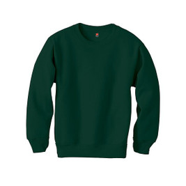 Hanes P360 - EcoSmart® Youth Sweatshirt