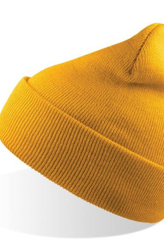 Atlantis AT010 - Evergreen Cuffed Beanie for Sports and Events