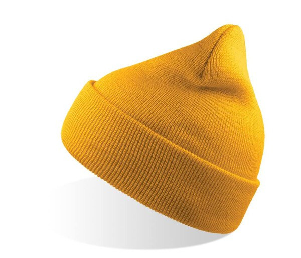 Atlantis AT010 - Evergreen Cuffed Beanie for Sports and Events