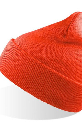 Atlantis AT010 - Evergreen Cuffed Beanie for Sports and Events