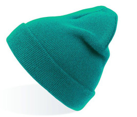 Atlantis AT010 - Evergreen Cuffed Beanie for Sports and Events