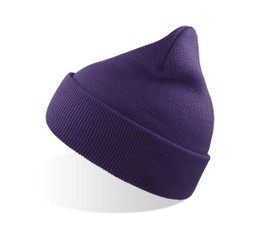 Atlantis AT010 - Evergreen Cuffed Beanie for Sports and Events