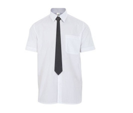 VELILLA VL051 - Velilla Satin Elegance Tie for Professional Wear