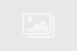 Champion S600 - Eco-Friendly Crewneck Sweatshirt