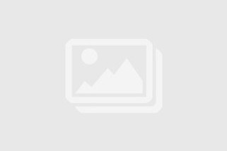 Champion S600 - Eco-Friendly Crewneck Sweatshirt