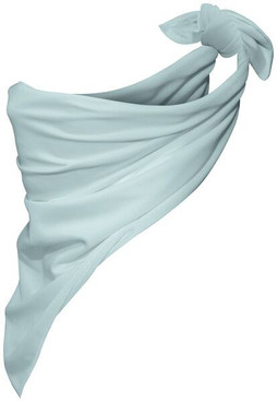 Augusta Sportswear 2221 - Moisture-Wicking Polyester Bandana Scarf