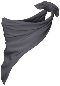 Augusta Sportswear 2221 - Moisture-Wicking Polyester Bandana Scarf