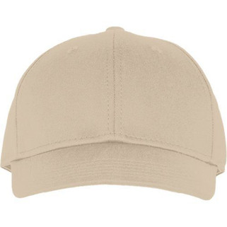 Champion 4102NN - Ultimate Comfort Stretch Fit Sports Cap