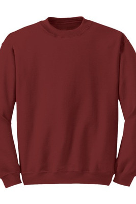 Radsow Apparel - Sweatshirt Col Rond Paris pour hommes