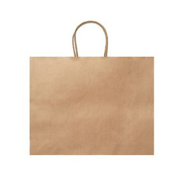 MAPLE 110 gsm paper bag in natural finish - EgotierPro BO7541