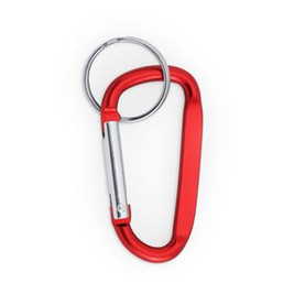 PALE Aluminium carabiner keyring - EgotierPro KO4073