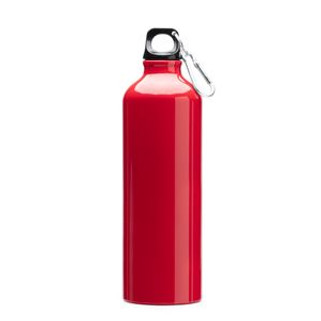 BAOBAB Aluminium bottle with carabiner - EgotierPro MD4049