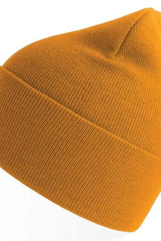 Atlantis AT209 - Polyester polyana® beanie