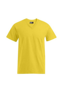 Promodoro PM3025 - T-shirt med V-udskæring til mænd