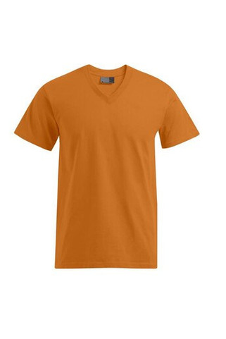 Mens-V-neck-T-shirt-Wordans