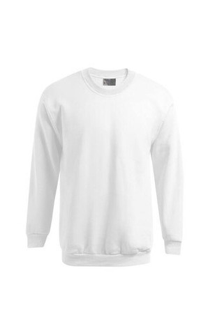 Mens-sweatshirt-320-Wordans