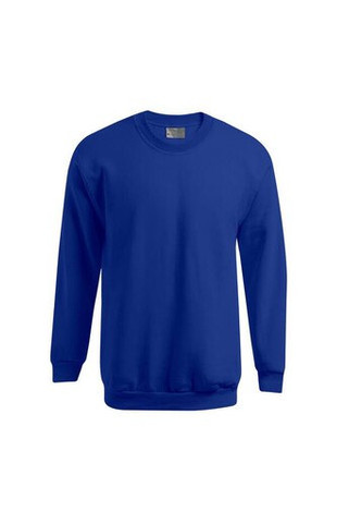 Mens-sweatshirt-320-Wordans