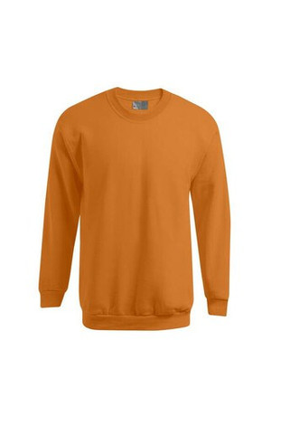 Mens-sweatshirt-320-Wordans