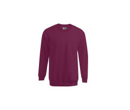 Promodoro PM5099 - Komfortabel Herresweatshirt for Overgangstider
