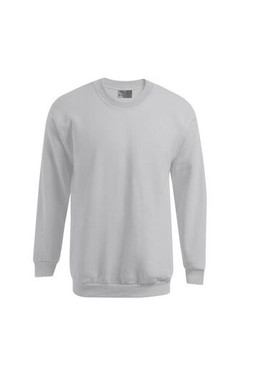 Mens-sweatshirt-320-Wordans