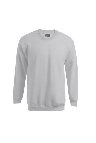 Mens-sweatshirt-320-Wordans