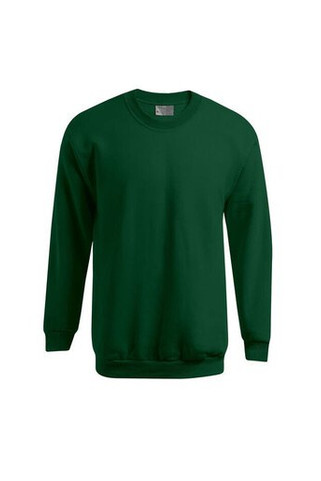 Mens-sweatshirt-320-Wordans