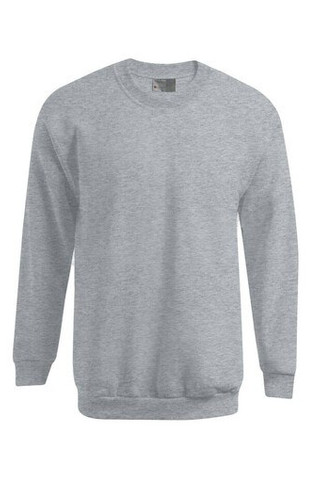 Mens-sweatshirt-320-Wordans