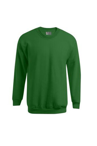 Mens-sweatshirt-320-Wordans