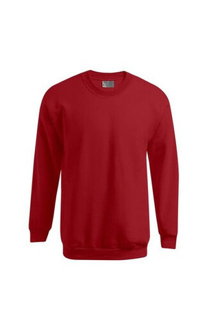 Mens-sweatshirt-320-Wordans