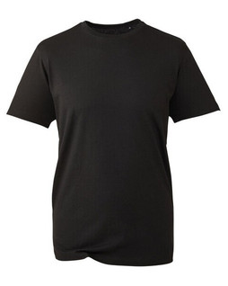 ANTHEM AM010 - Organic Cotton Mens Fashion Fit T-Shirt