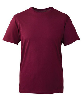 ANTHEM AM010 - Organic Cotton Men's Fashion Fit T-Shirt