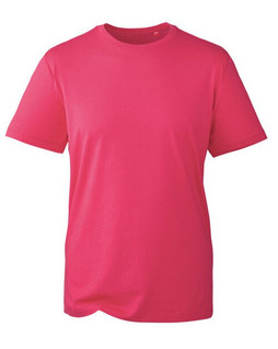 ANTHEM AM010 - Organic Cotton Mens Fashion Fit T-Shirt