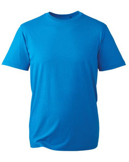 ANTHEM AM010 - Organic Cotton Mens Fashion Fit T-Shirt