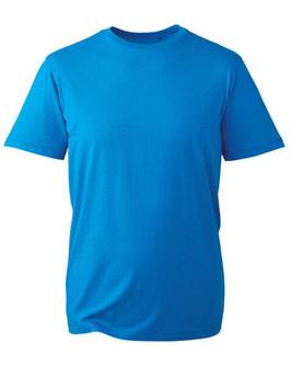 ANTHEM AM010 - Organic Cotton Men's Fashion Fit T-Shirt