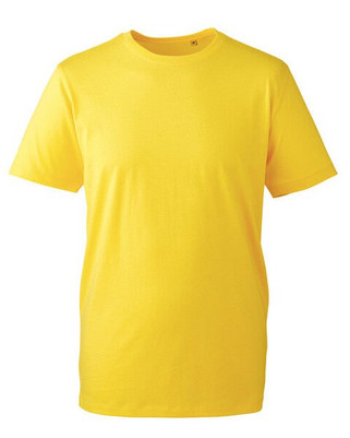 ANTHEM AM010 - Organic Cotton Mens Fashion Fit T-Shirt