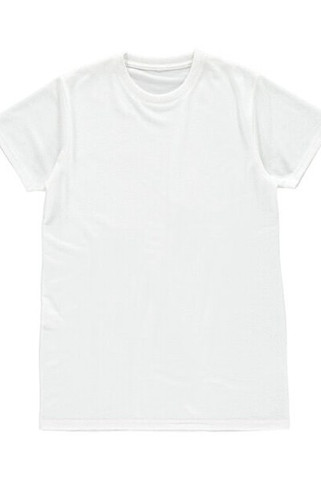 Vanilla VAN101 - Mens Modern Fit Polyester Athletic Tee