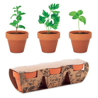 FLOWERPOT Terracotta Herb Garden Set with Mint, Parsley, Basil - GiftRetail MO6145
