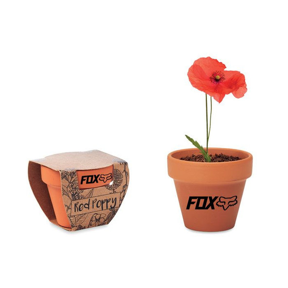 GiftRetail MO6148 - RED POPPY Handcrafted Terracotta Pot with Poppy Seeds