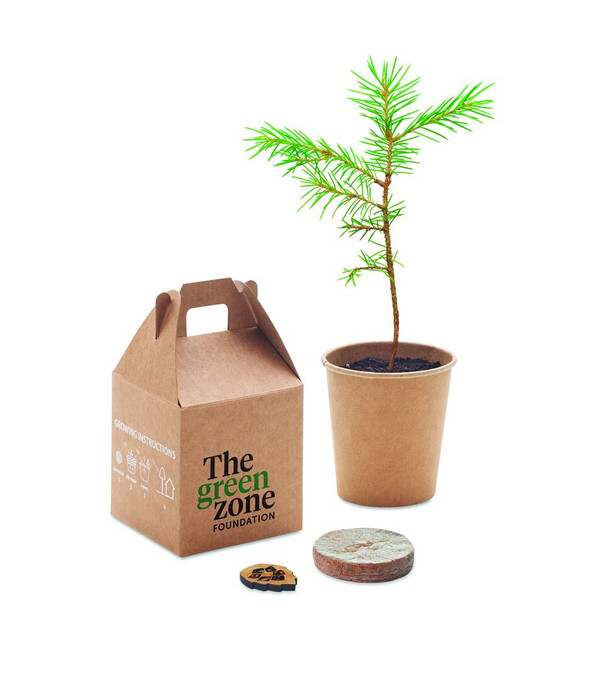 GiftRetail MO6228 - GROWTREE Eco-Friendly Pine Tree Growing Kit for Home Gardens