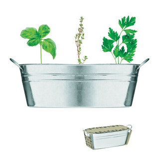 MIX SEEDS Zinc tub with 3 herbs seeds - GiftRetail MO6497