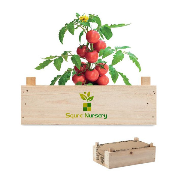GiftRetail MO6498 - TOMATO Complete Tomato Growing Kit in Wooden Crate