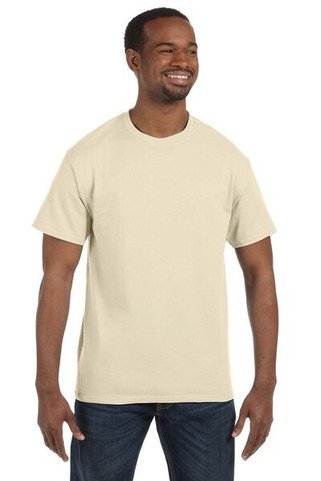 Hanes 5250T - Mens Authentic-T T-Shirt