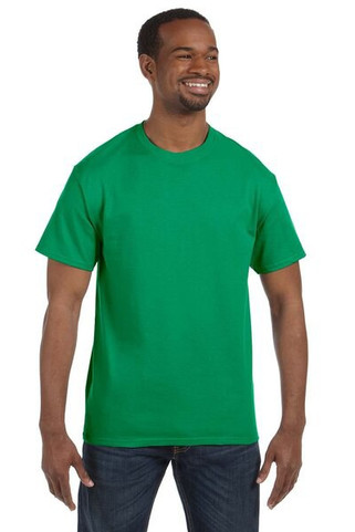 Hanes 5250T - Mens Authentic-T T-Shirt