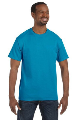 Hanes 5250T - Men's Authentic-T T-Shirt